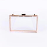 Clear Acrylic Purse